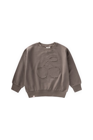 Cigit İnce Mevsimlik Sweatshirt 1-7 Yaş Vizon