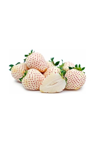 Beyaz Çilek Açık Kök  50 adet