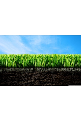 Leonardit 3 KG Doğal Toz Leonardit Organik Toprak Düzenleyici Leonardit Gübre Köklendirici Doğal Gübre