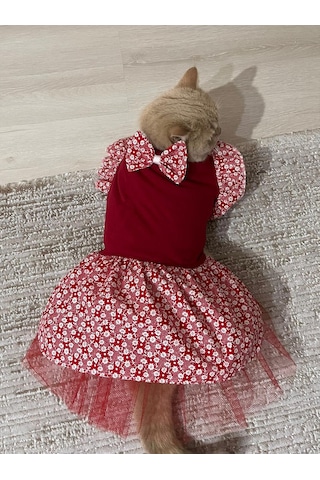 Gobo Çiçek Desenli Papyonlu Kedi Köpek Kıyafeti Elbisesi