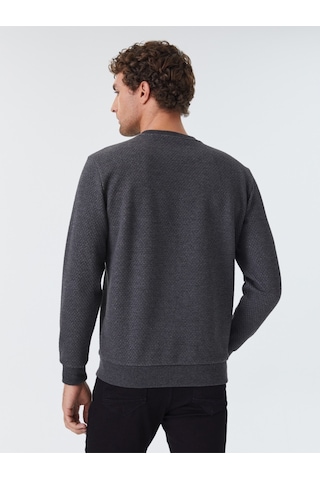 Erkek Sweatshirt Lf2030324 Antrasit