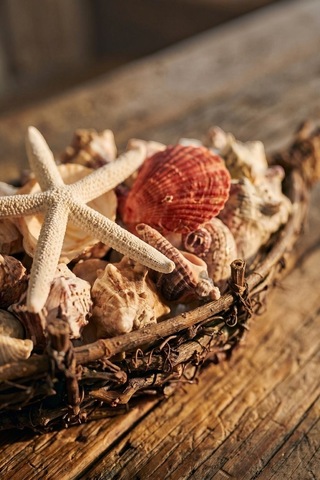 Hasır Tekne İçinde Deniz Kabuğu Yıldızlı Dekoratif Biblo
