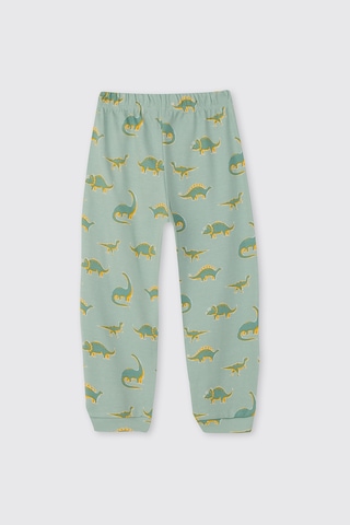 Panço Erkek Çocuk Dinozor Desenli Turkuaz Pijama Takımı Mavi