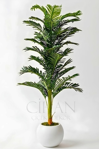 Cihan Çiçekçilik Yapay Areka Ağacı 160 Cm - 32 Yapraklı Beyaz Küre Saksı