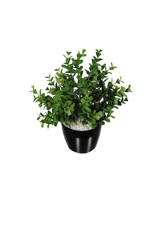 Yapay Çiçek Şimşir Okaliptus Yapay Bitki Siyah Plastik Saksılı Dekoratif Süs Çiçeği Yeşil