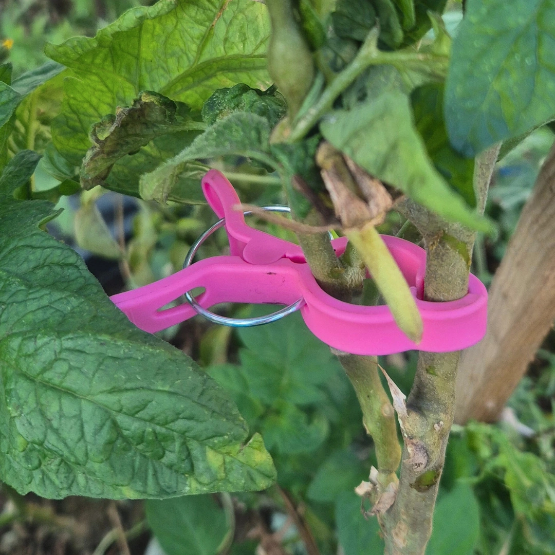 Bitki Destek Mandalı Pembe