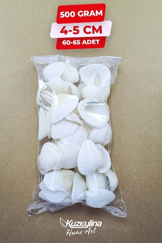 Doğal Deniz Kabuğu 500 Gram Büyük Boy 4-5 Cm