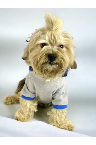 Blue Line Kapşonlu Sweatshirt Köpek Kıyafeti Köpek Elbisesi