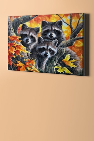 Webstyle Sayılarla Boyama Seti Kasnaklı Rakunlar 60 X 75 Cm