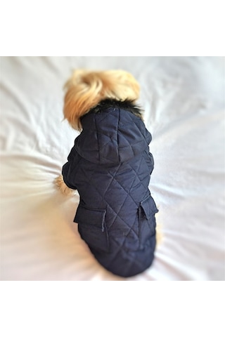 Kemique Poof Cutie Kapüşonlu Köpek Montu