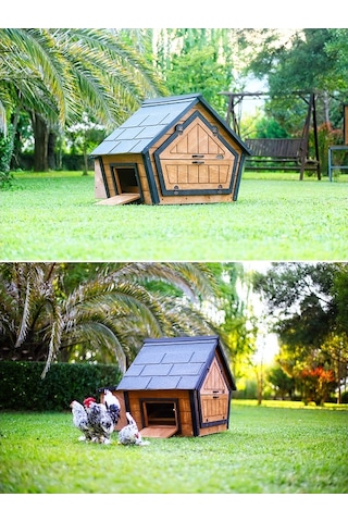 MANDU Ahşap Tavuk Kümesi (6 Tavuk) ve Güvercin Evi