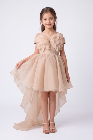 Mnk Baby & Kids Kız Çocuk Kuyruklu Kristal Limni Abiye Elbise M00856 Pudra