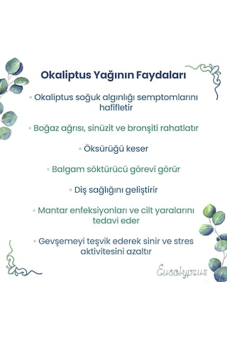 Npo Yogaroma Ferahlatıcı Aromaterapi 10ml Saf Ve Doğal Okaliptus Uçucu Yağ 4 Adet 10 ML