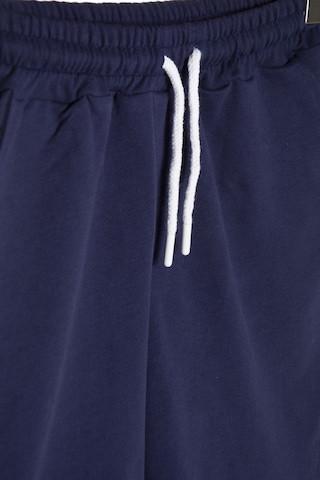 Terapi Men Erkek Lacivert Basic Regular Fit Şort & Bermuda Lacivert