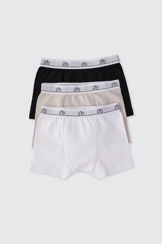 Panço Erkek Çocuk 3'lü Boxer Seti 2502bk14015 Renkli