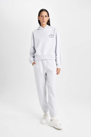 Defacto Regular Fit Kapüşonlu Baskılı Kalın Sweatshirt D6720AX24WNGR93 Gri