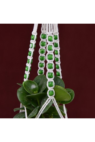 Xindoker Pamuk İpi Bitki Asıcı, Evbahçe Çiçek Saksısı Asma Aletleri, Dayanıklı Modern Tarz, 5 Farklı Tip Seçeneği Çok Renkli