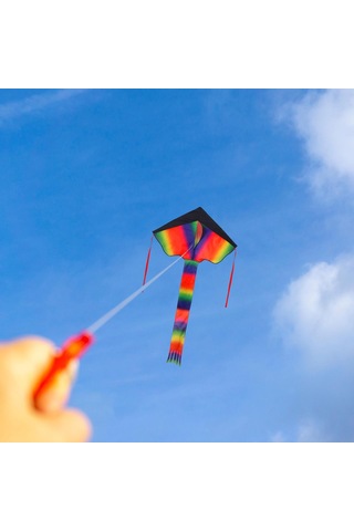 Suntek Dev Delta Uçurtma Uçurtma Uçurtma Büyük 1 Genişlik