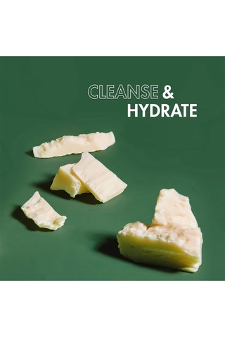 Shea Moisture Men Shea Ve Mafura Yağlı Nemlendirici Şampuan 444ml Tüm Saç Tipleri