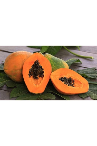 Papaya Fidanı 2 Yaş 50 Cm