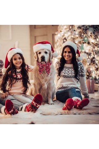 Leezsingfiyonklu Noel Köpek Tasması, Ayarlanabilir Pamuklu Kırmızı Kareli Papyon Büyük Köpekler İçin Noel Köpek Tasmaları Evcil Hayvanlar-9