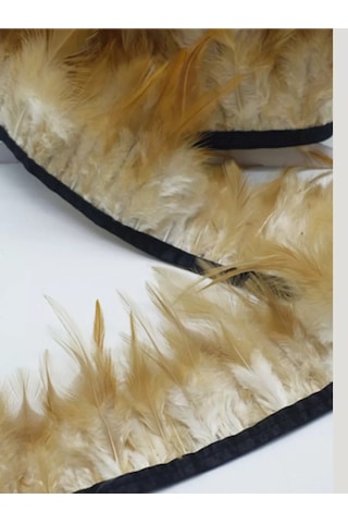 Kreativka Şerit Üzerinde Tüyler. Kurdela. 207825651