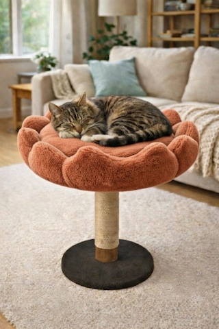 Tırmalama Tahtalı Çiçek Kedi Yatağı