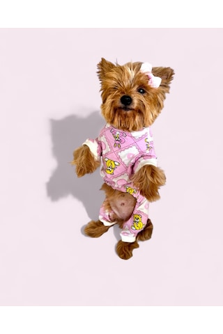 Teddy Toad Penye Köpek Tulum Pijama