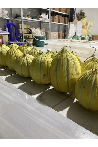 3 Kg Kırkağaç Dilim Kavunu Geleneksel Kırkağaç Kavunu