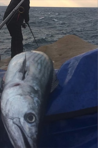 Shore Pro 29g - Palamut Lüfer Levrek Turna Için Jig Yem