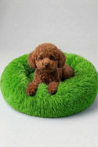 United Colors Of Benetton Bntmkt-0012-2-gr Uzun Kürklü Donut Kedi&köpek Yatağı Yeşil 55 Cm