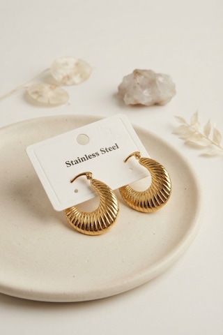 316l Çelik Gold Renk Halka Model Küpe Çok Renkli