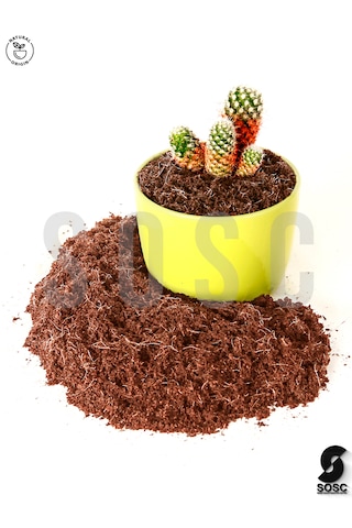 Cocopeat Hindistan Cevizi Torfu 10 Lt