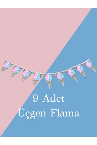Baby Shower & Gender Reveal 9 Lu Üçgen Flama Süsleri