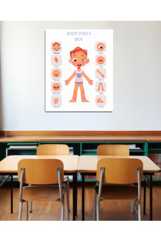 Vücut Bölümleri Poster İngilizce Pvc Kaplı 30x42 Cm Erkek Çok Renkli