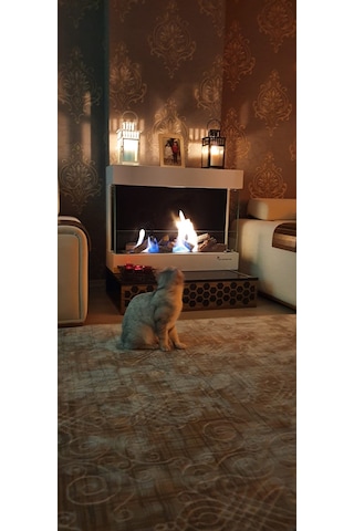 Blueflame Wallfıre 90 Bacasız Şömine