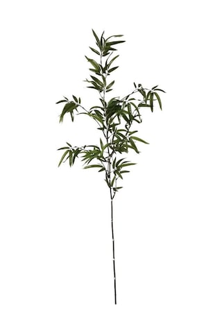 T.concept Dekoratif Yapay Bambu Dal 160 Cm 1 Adet