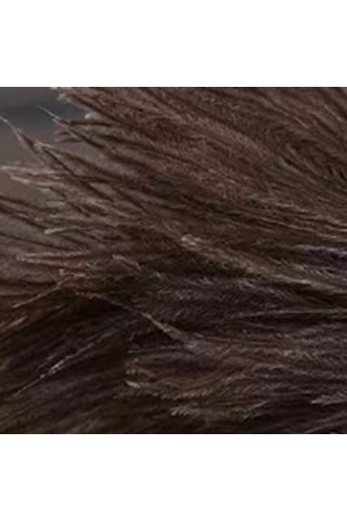 Springsun Yumuşak Devekuşu Tüyü Toz Alıcı - Hassas Yüzeyler İçin Ahşap Saplı Ev Temizlik Aleti Kahverengi