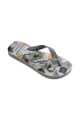 Havaianas Havaıanas Kids Çocuk Terlik 4145125-14296 Gri