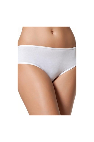 Çift Kaplan Kadın Geniş Kenarlı 5'li Slip Paket 622 - L Çok Renkli