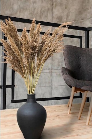 Ayrex Alyones 10 Adet Natural Kabarık Pampas Diğer