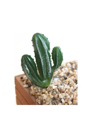 Sones 2 Adet Yapay Mini Kaktüs Bahçe Peyzaj Ev Ofis Dekorasyonu, Stil: Bir Kaktüs