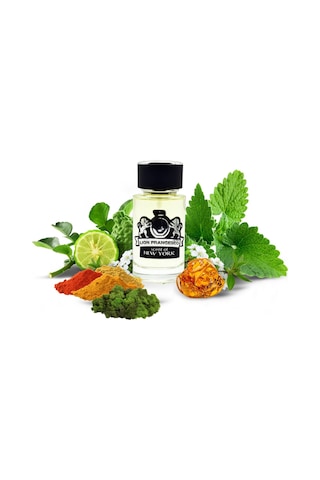 Lion Francesco Scent Of New York Erkek Parfüm EDP 50 ML
