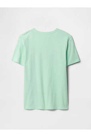 Erkek Çocuk Grafikli T-shirt Su Yeşili-5993 Yeşil