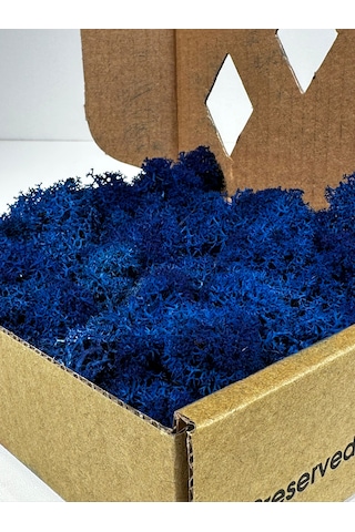 Reindermoss Şoklanmış Norveç Yosunu Terarium Yosunu Mavi 100 Gr.