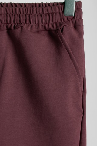 Terapi Men Erkek Bordo Basic Regular Fit Şort & Bermuda Bordo