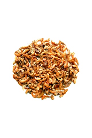 Gammarus Turtle 1000 ml Sürüngen ve Kaplumbağa Yemi