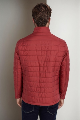 M8644 Dewberry Erkek Mont-bordo-1 Bordo-1