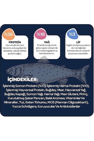 Obivan Kitten Somonlu Ve Hamsili Yavru Kedi Maması 2 Kg