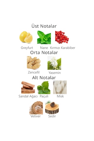 Aqua di Polo 1987 APCA000201 Gran Paradiso Jungle Sprey Deodorant Parfüm 150 ML